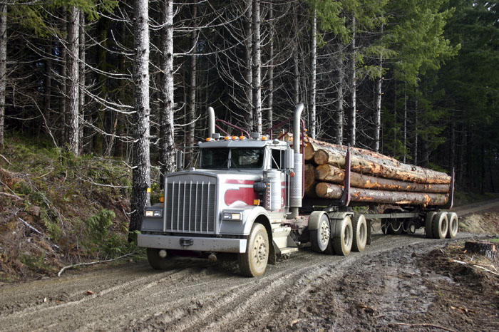 log truck 3_1.jpg